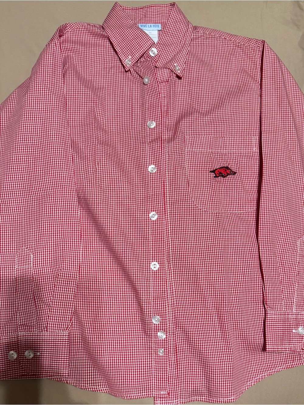 Vive La Fête Kids Razorback Red Gingham Button-Down Shirt